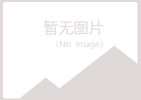 龙沙区忆山建设有限公司